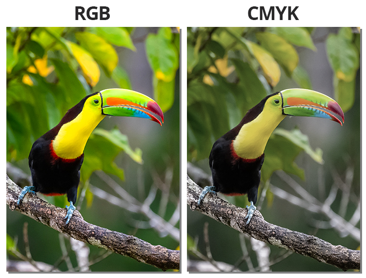 Qual a diferença entre RGB e CMYK?